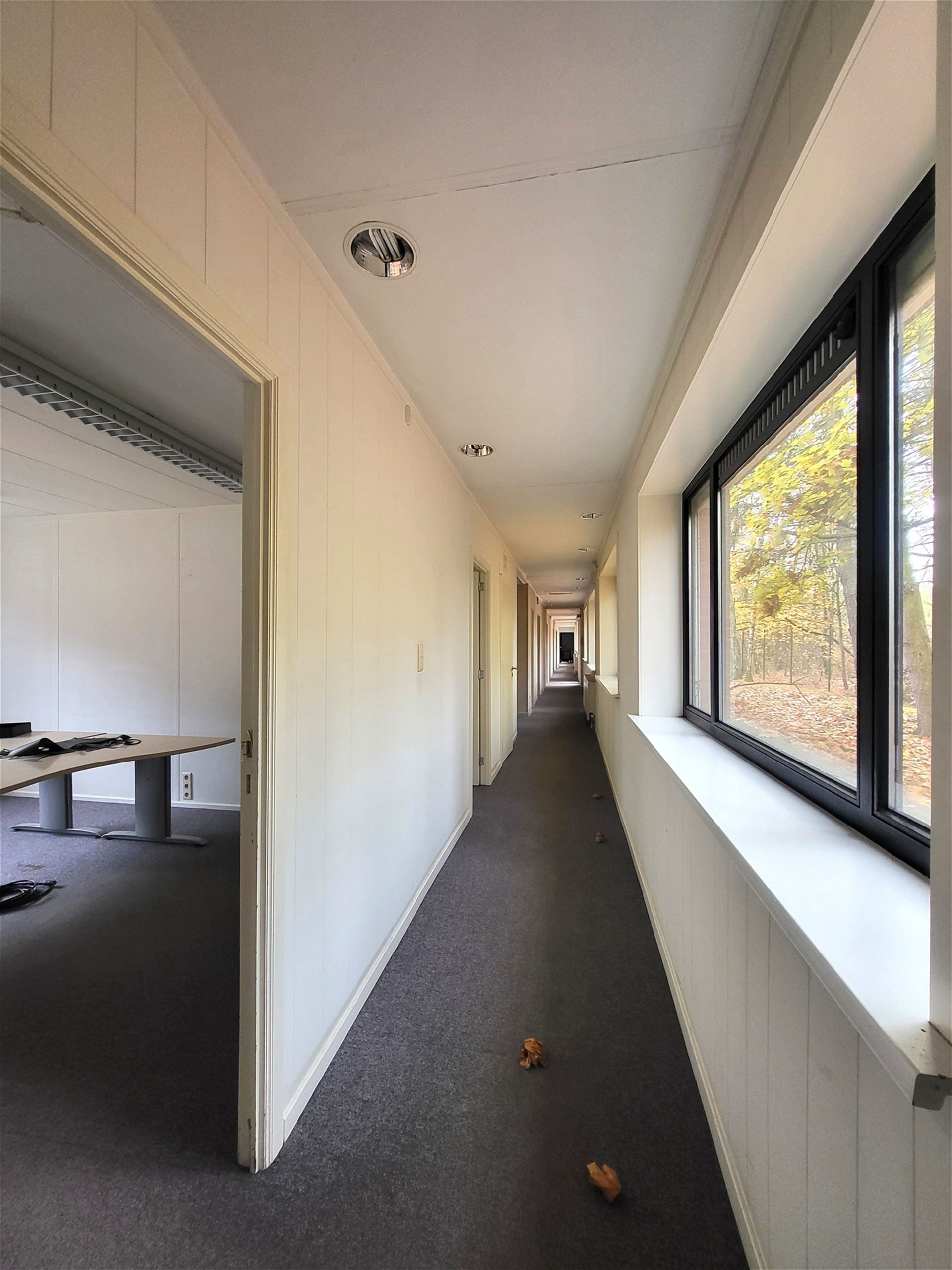 Villa met professionele opslagruimte, kelder en kantoorruimtes. foto 23