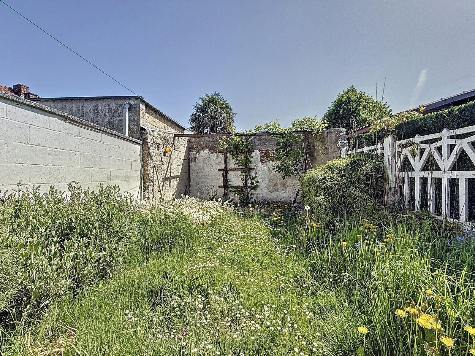 GEZINSWONING 3 Slks en tuin foto 3