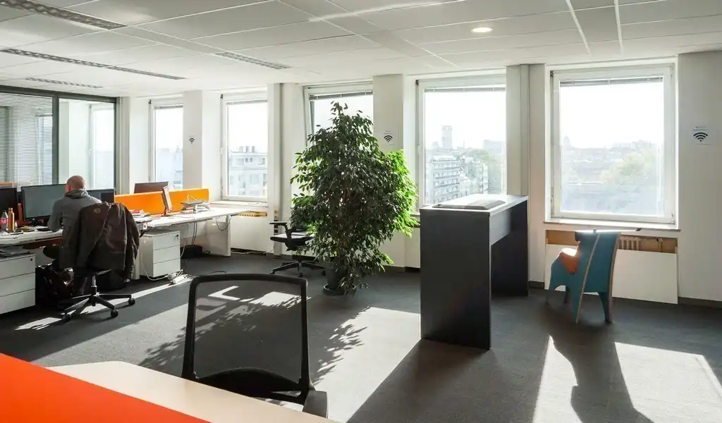 Kantoren te huur in Lieven Bauwens Building in Gent foto 4