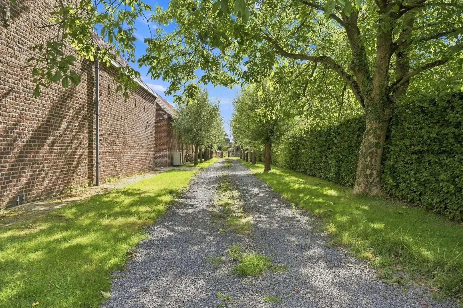 Karaktervol interbellum huis met bijgebouw én bouwgrond op 7.782 m² foto 6