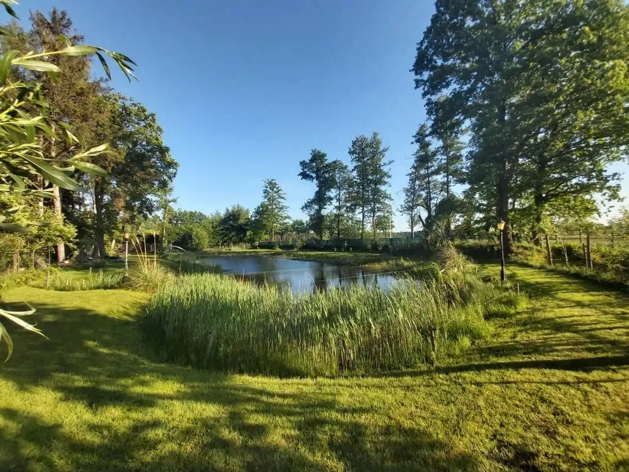 Uniek stuk recreatiegrond met vijver en bouwmogelijkheid – 2154 m². foto 2