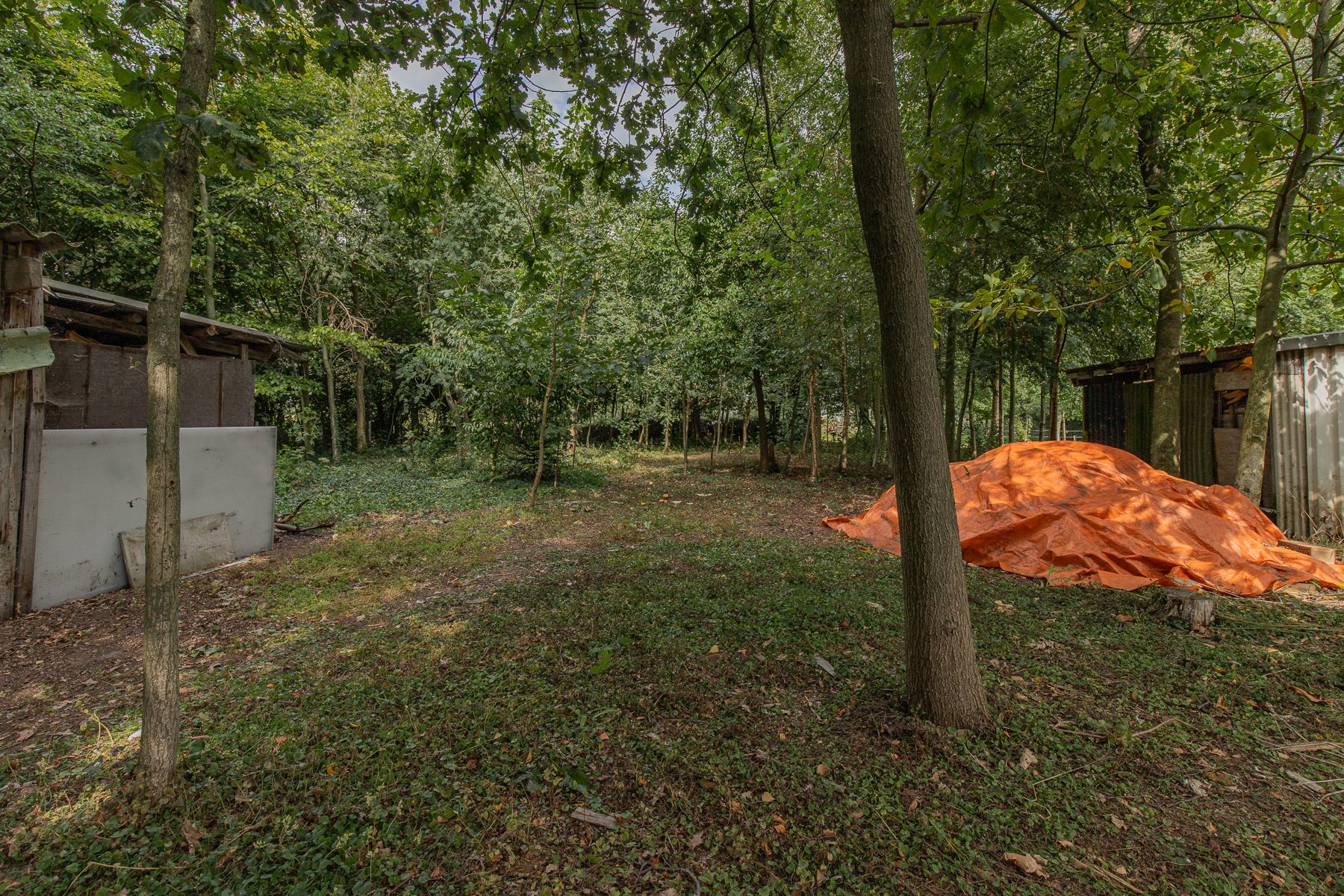 Gunstig gelegen woning met ruime tuin foto 12