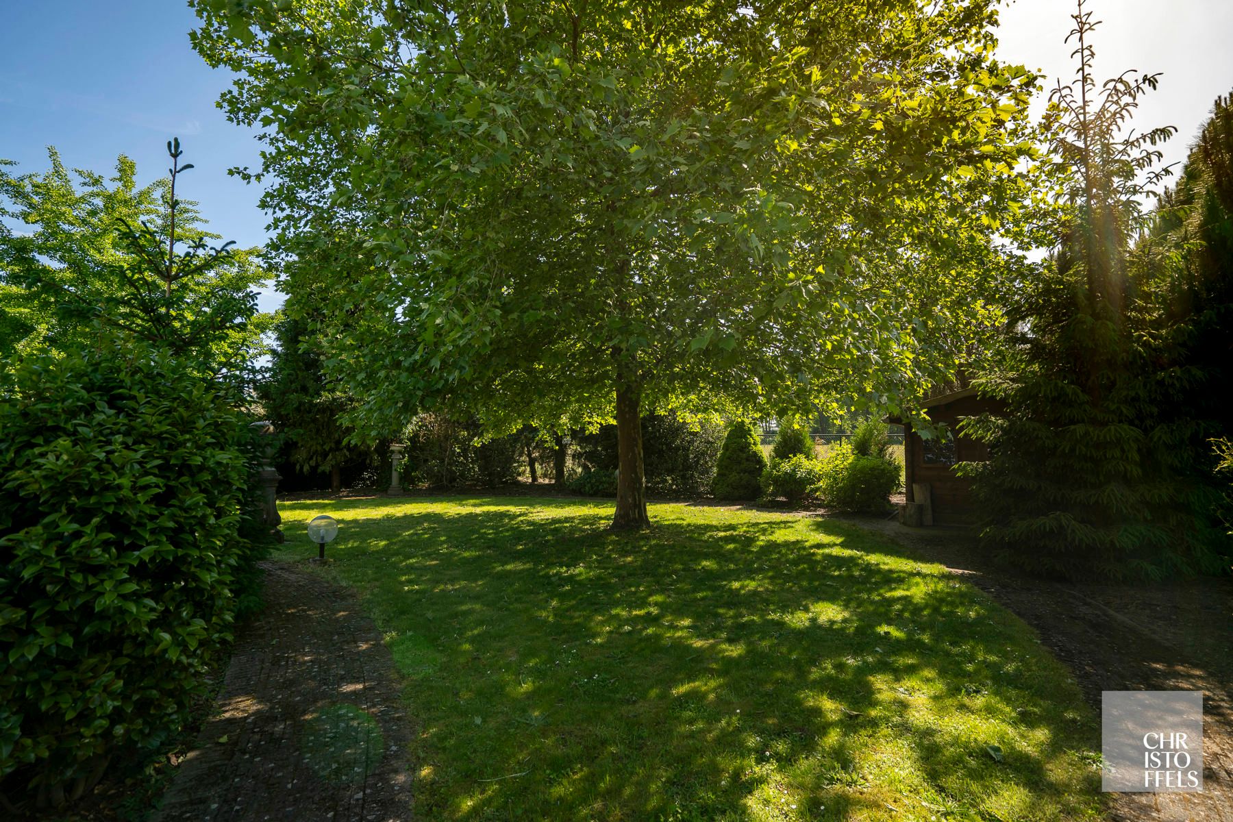 Villa (336m²) met 3 slaapkamers en een zwemvijver op een perceel van 1.219m²!  foto 21