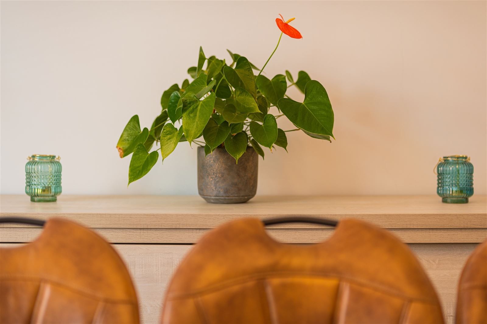 Gezellige gezinswonig met grote tuin op 27are20 foto 5