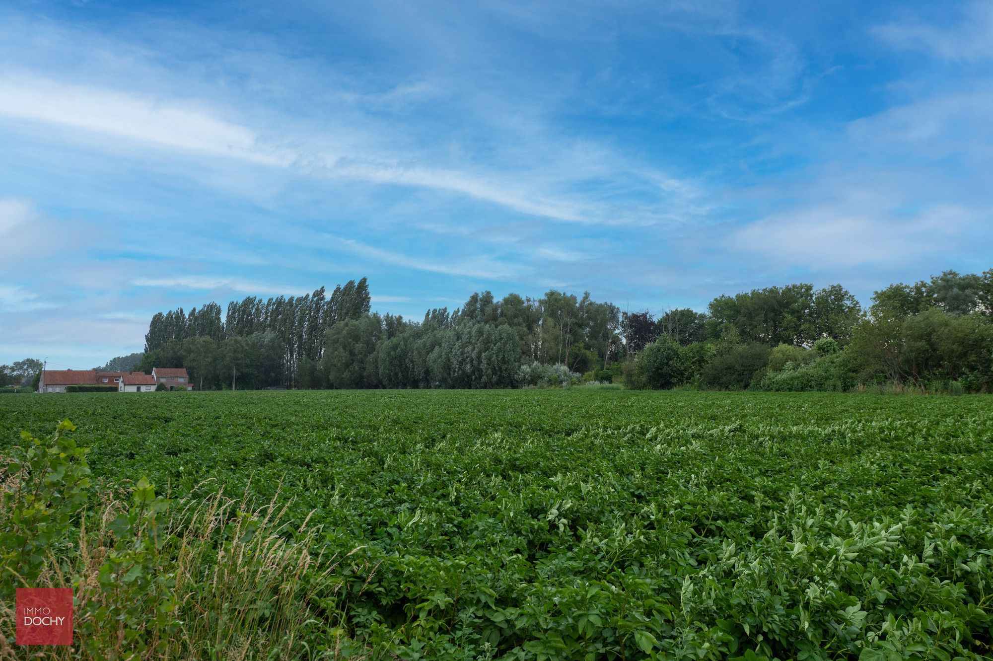 Ruim perceel recratiegrond te koop foto 2