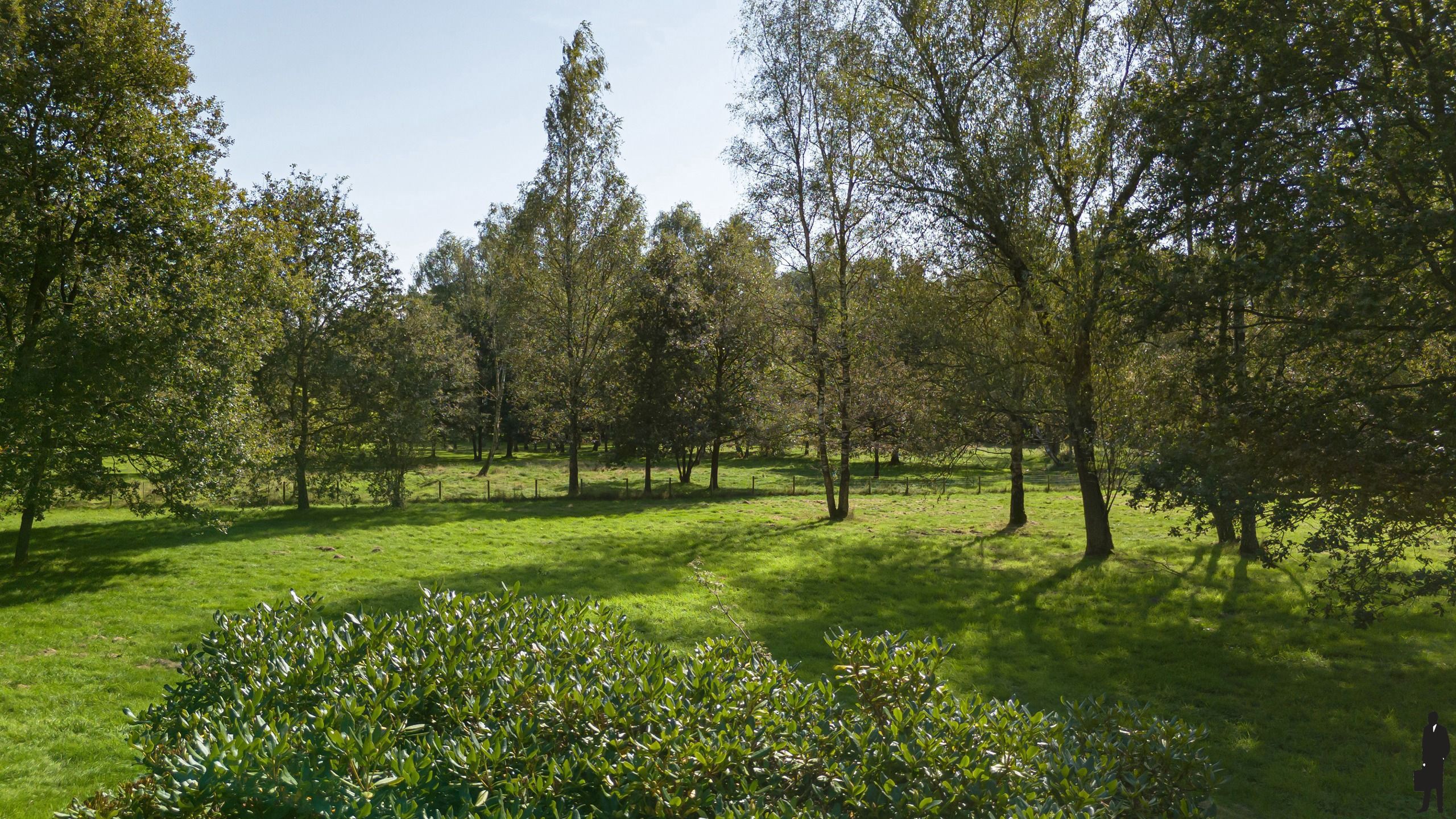 Schitterend landgoed op 25.000m² met boerderij en bijgebouw  foto 28