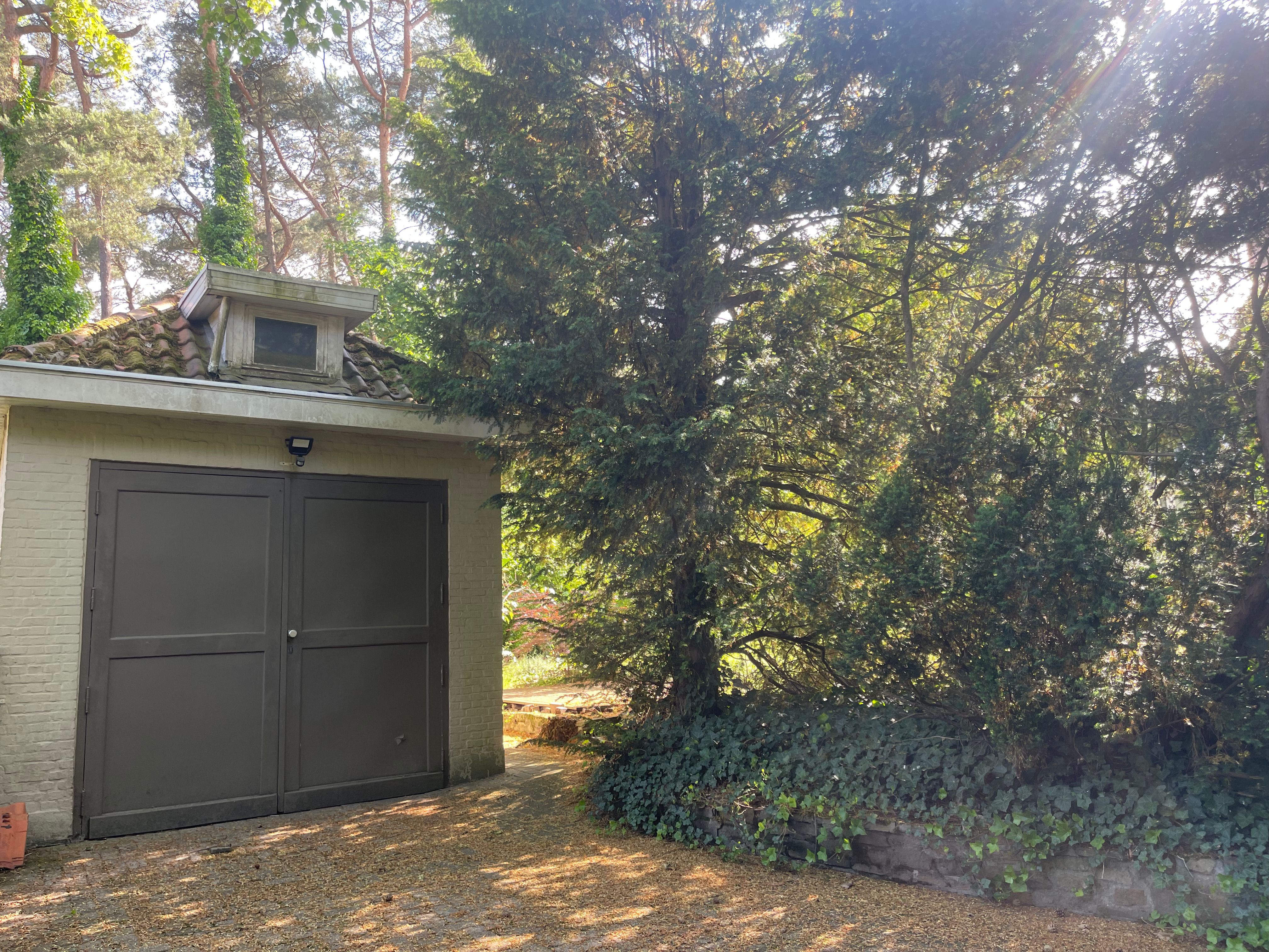 Villa op toplocatie, karaktervol en lumineus, veel privacy! foto 26