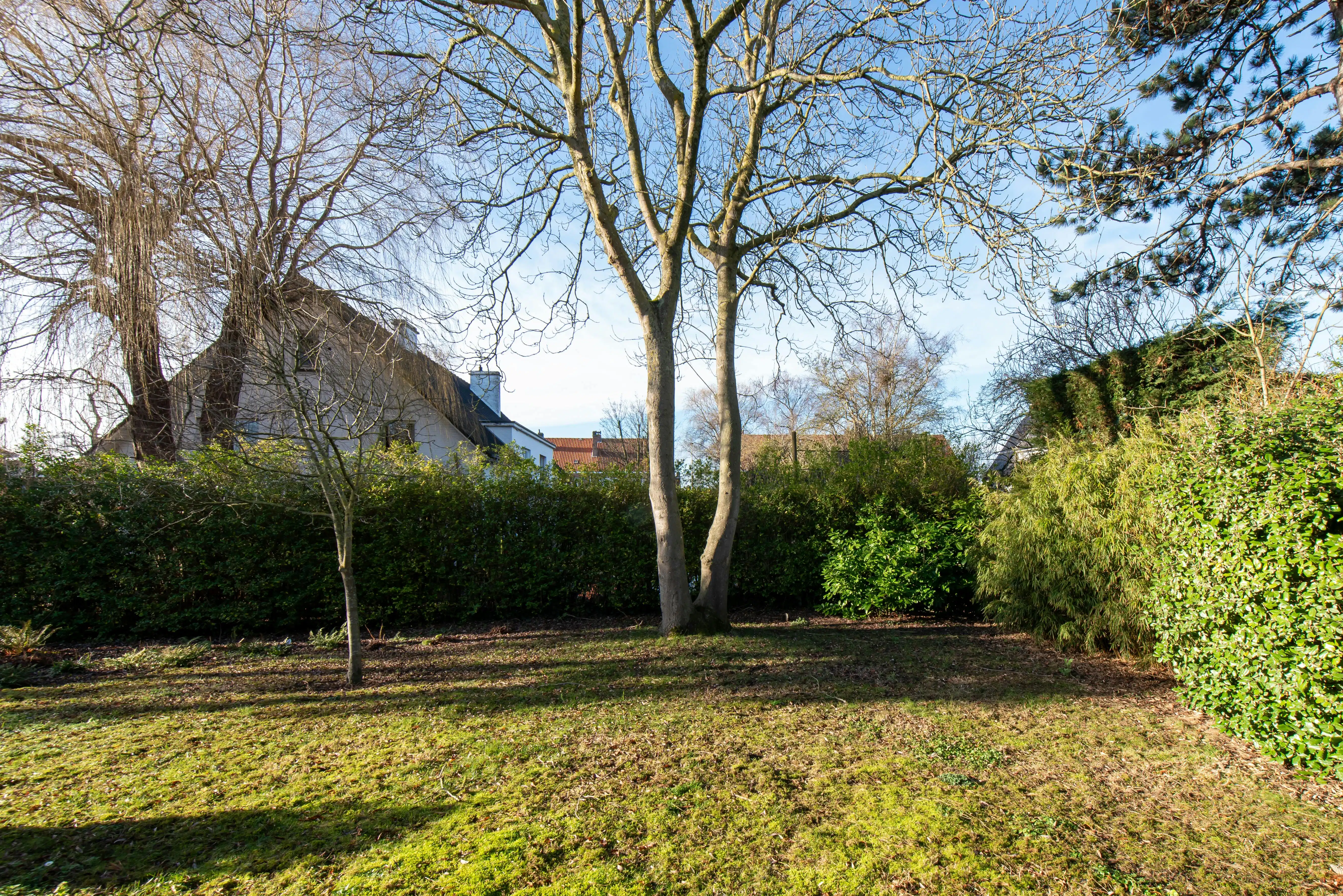 Villa op een prachtig perceel (1.349m²) te Oostende foto 11