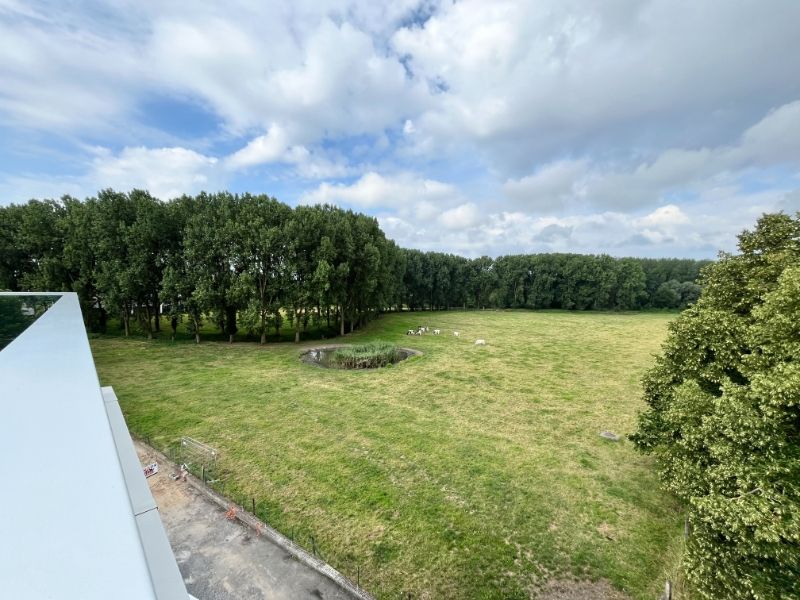 Luxe appartement met 3 slaapkamers en 2 terrassen foto 13