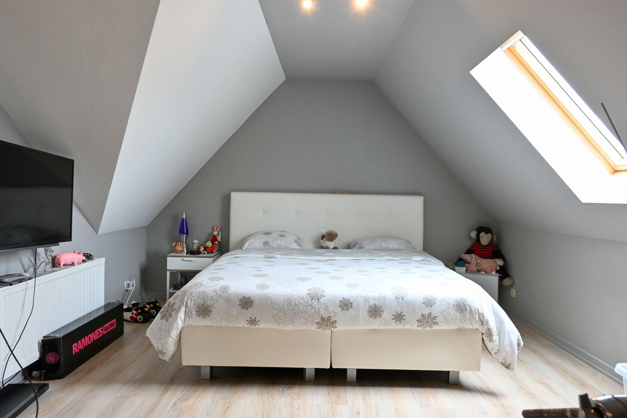 Huis te koop foto 24