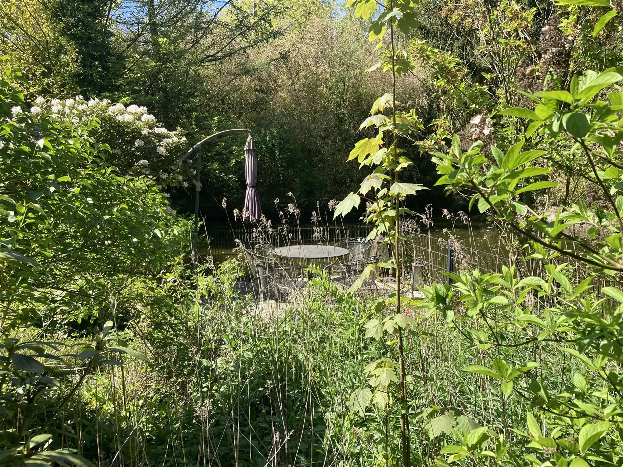 instapklare vakantiewoning in een uniek natuurgebied foto 15