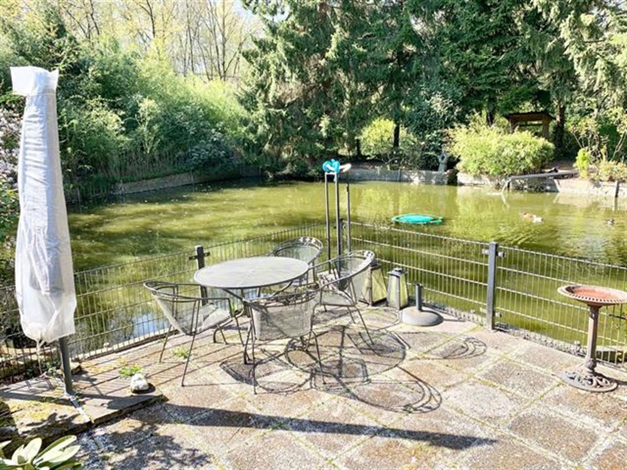 instapklare vakantiewoning in een uniek natuurgebied foto 15