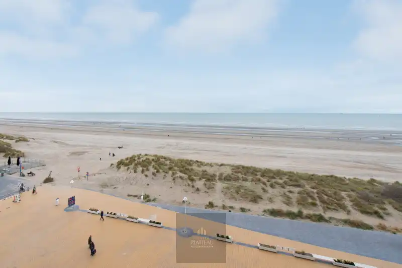 Ruim doorloop-appartement met 2 slaapkamers in de vernieuwde residentie Scorpio op de zeedijk te Nieuwpoort-Bad. foto 5