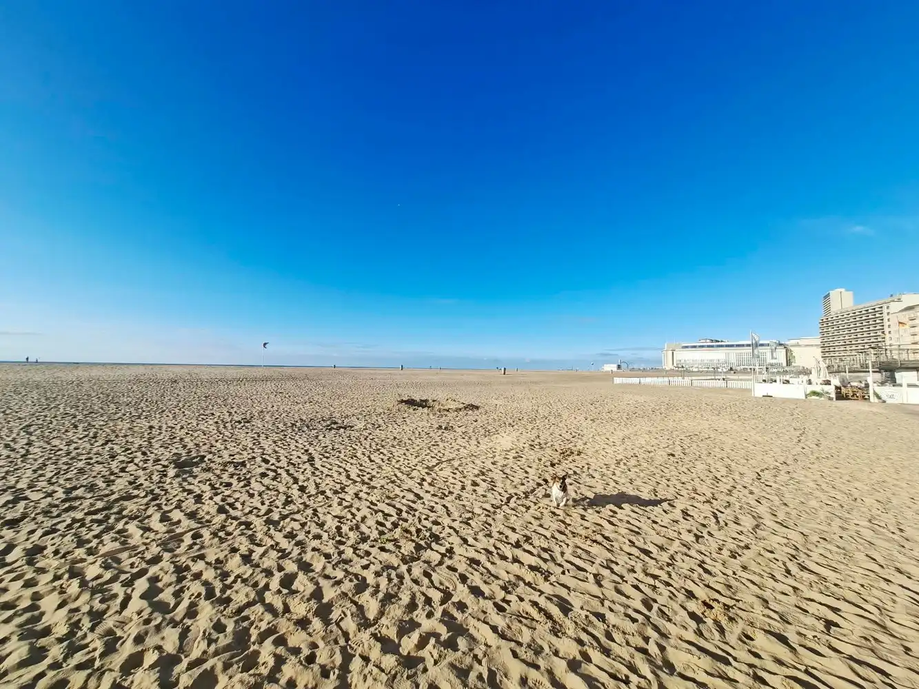 Stijlvol gerenoveerd appartement met hoge plafonds, 2 slpks vlak bij zee te koop in Oostende foto 23