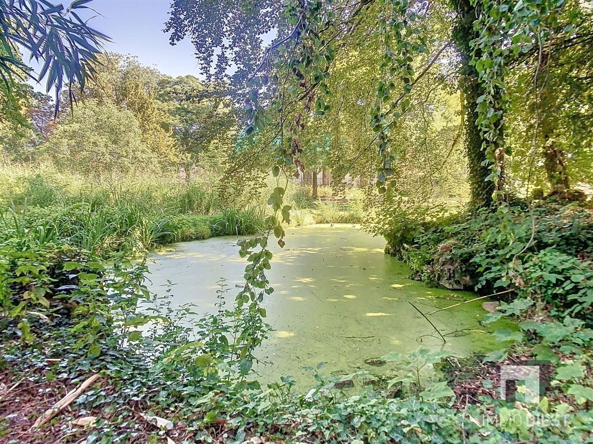 Spatieus appartement op een topligging foto 48