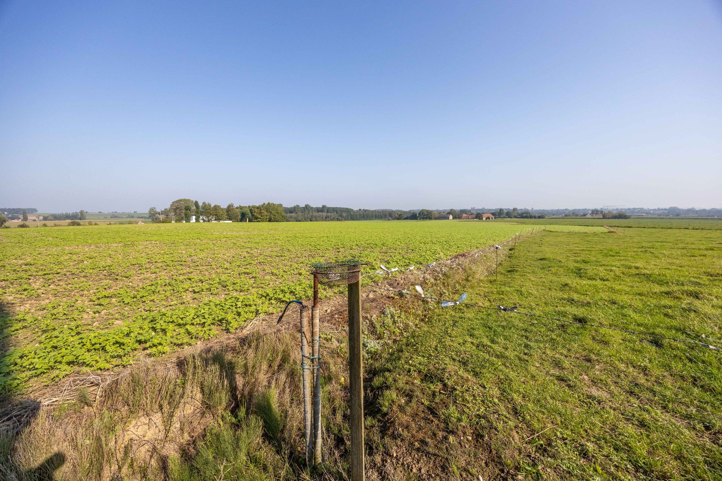 UNIEKE LANDEIGENDOM OP 2,1 HA foto 21