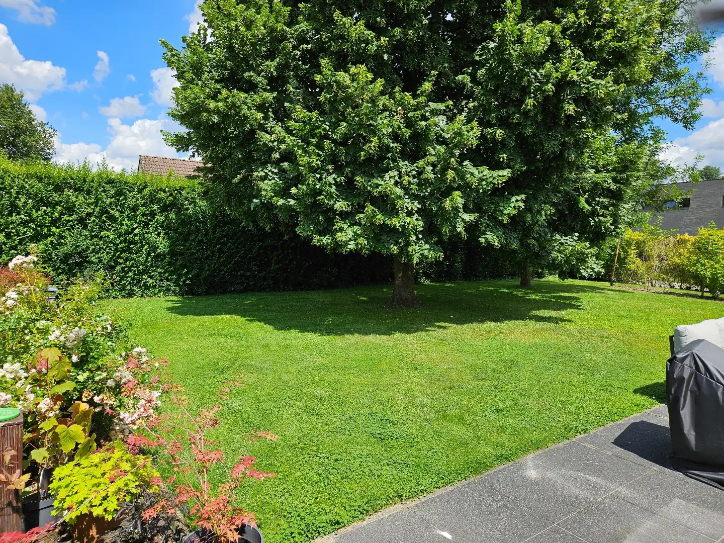 Prachtige, instapklare woning met 6 slaapkamers en ruime tuin. foto 25