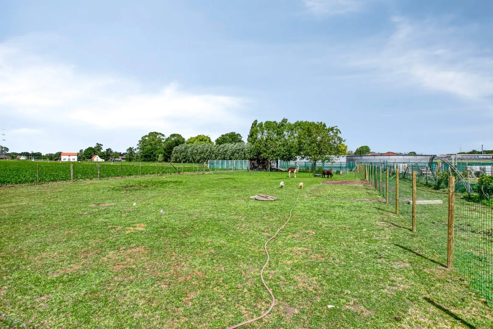 Landelijk gelegen woning of bouwgrond foto 4