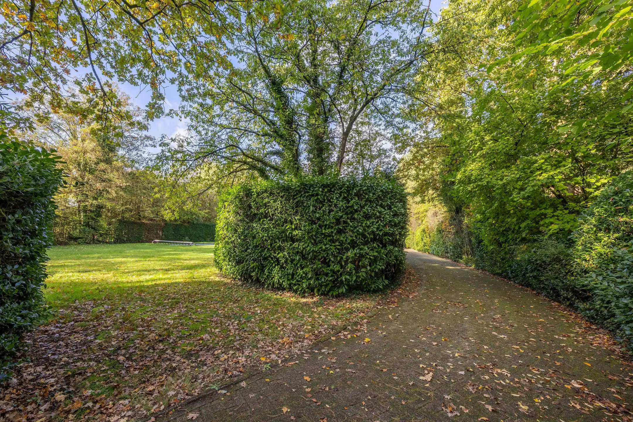 Seventiesvilla met zwembad en wellnessruimte in het groen  foto 3