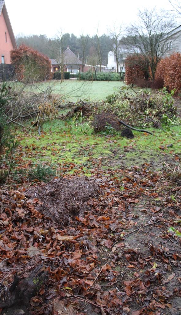 Zeer mooie bouwgrond op gunstige ligging foto 5