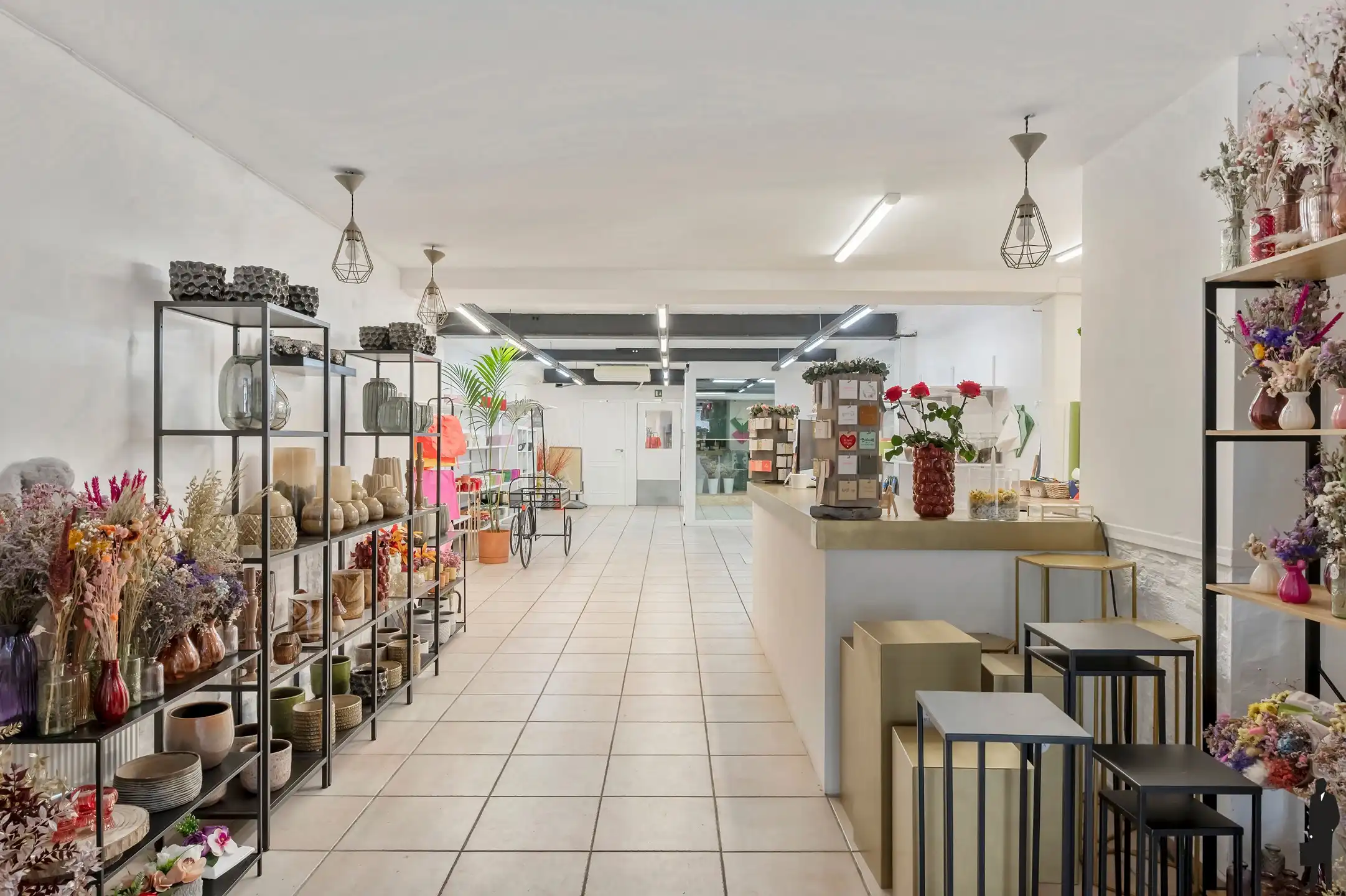 Commercieel gelijkvloers met duplex in Brasschaat foto 2