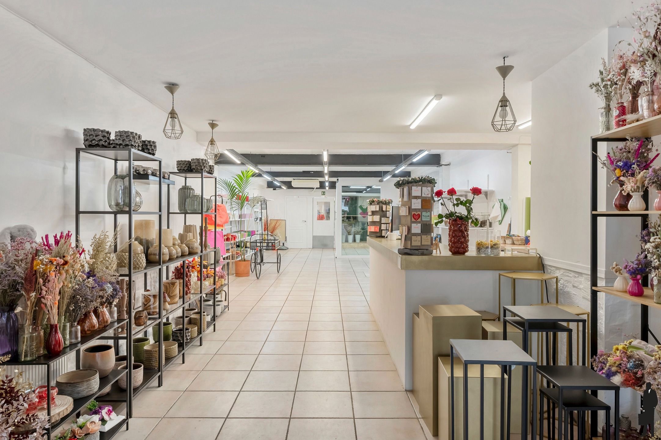 Commercieel gelijkvloers met duplex in Brasschaat foto 2