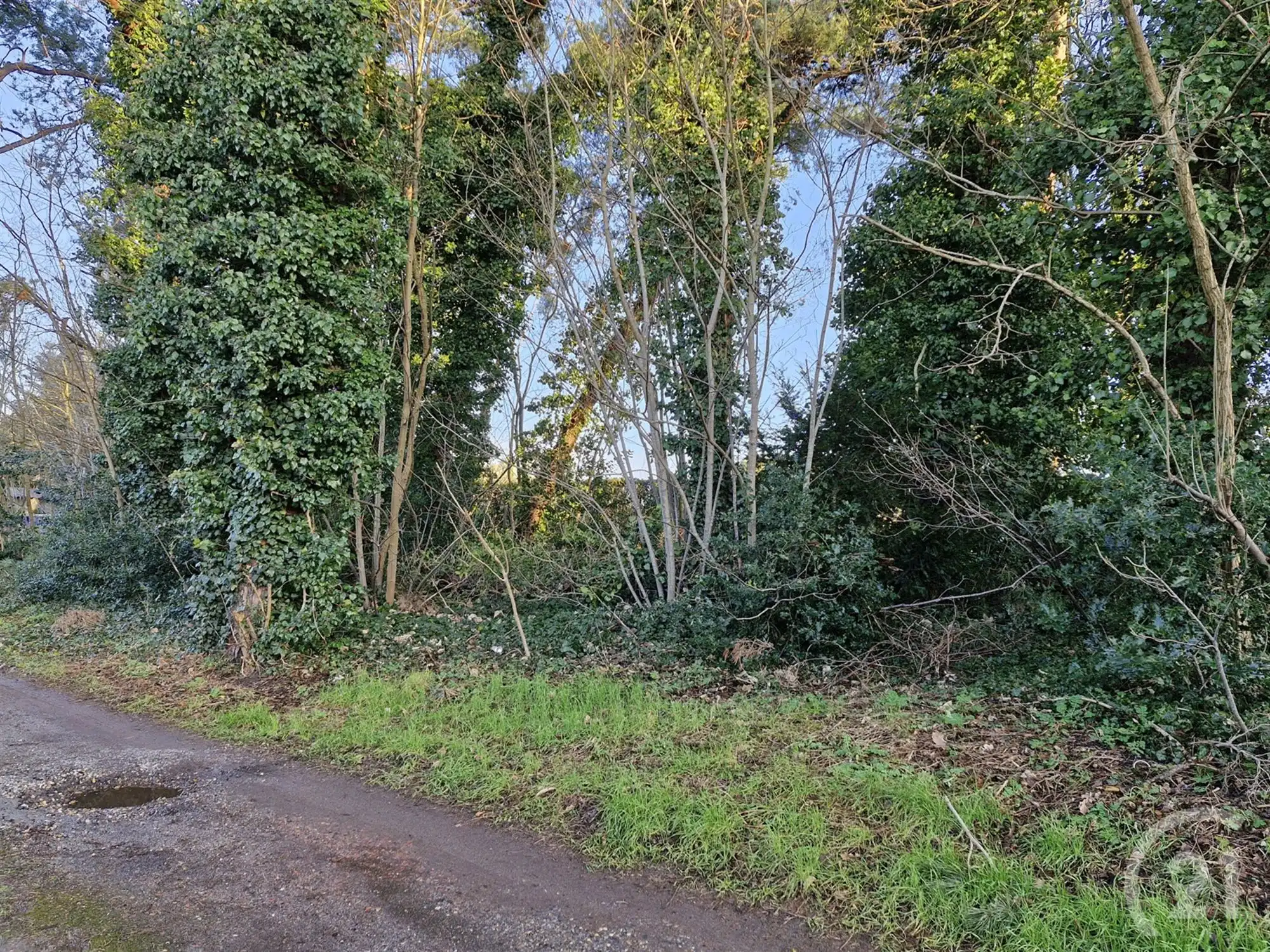 Nieuw te bouwen woning te koop in Tremelo! foto 4