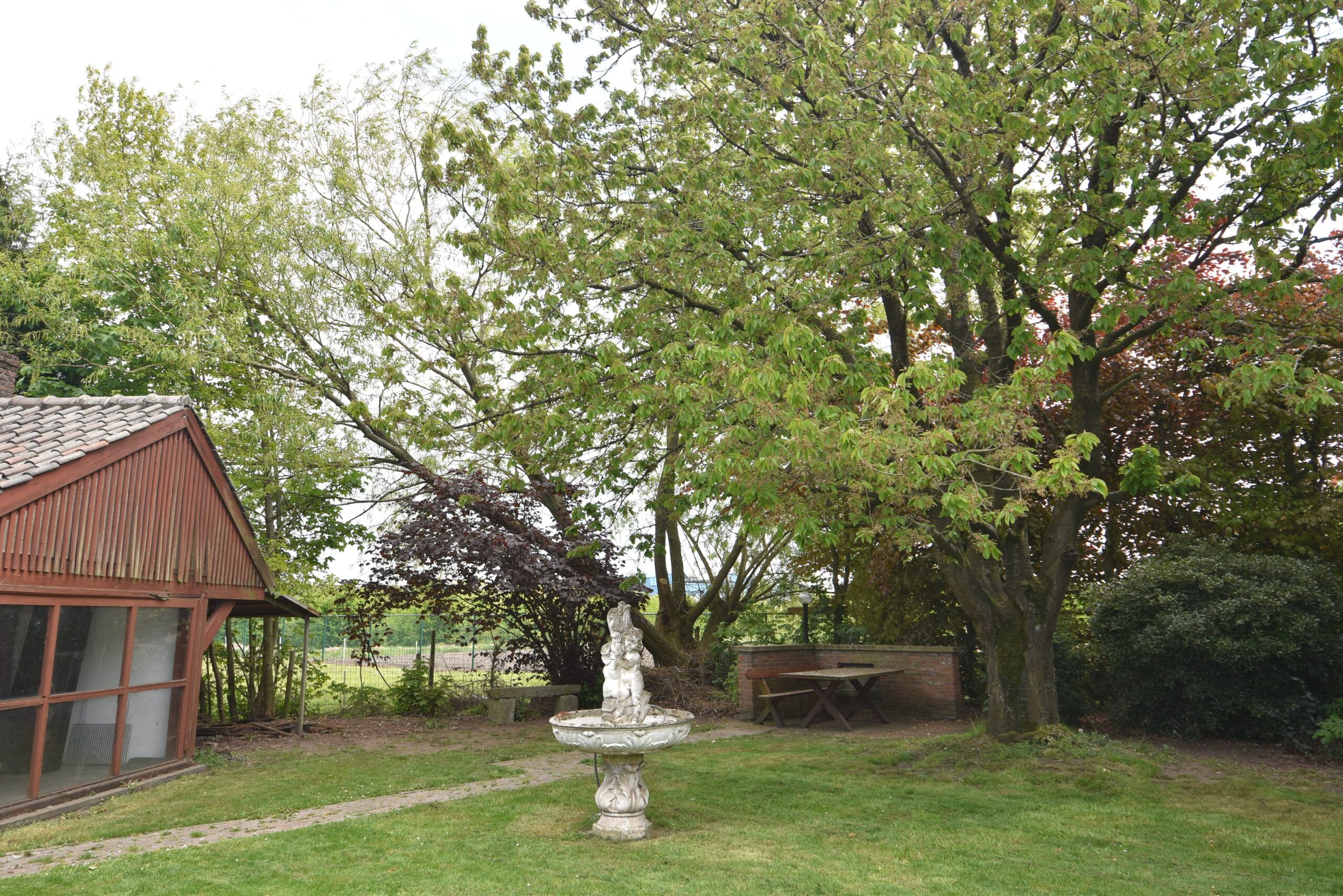 Charmante open bebouwing (4 spks) in Verrebroek foto 28