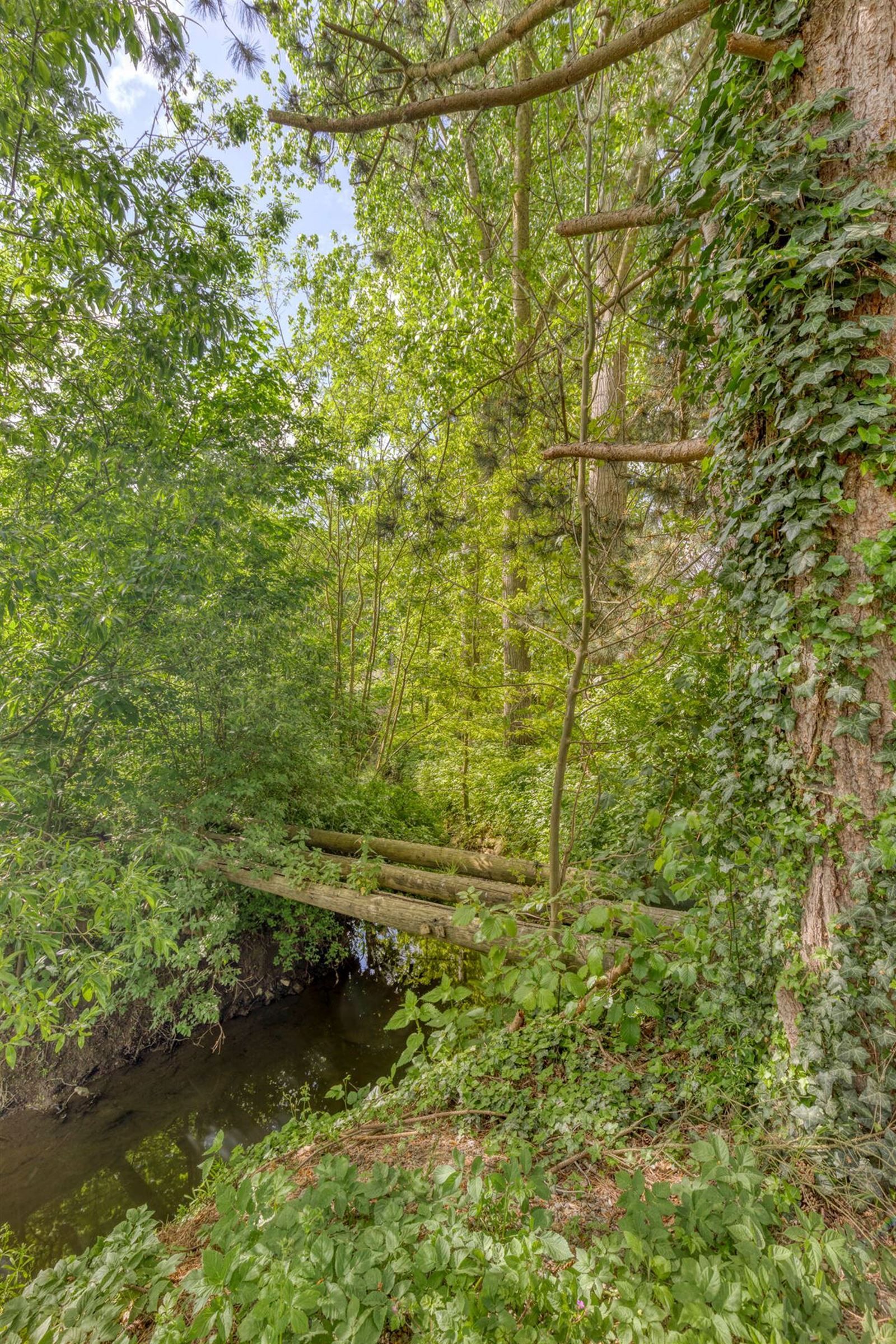 Driegevelwoning gelegen in groene omgeving foto 22