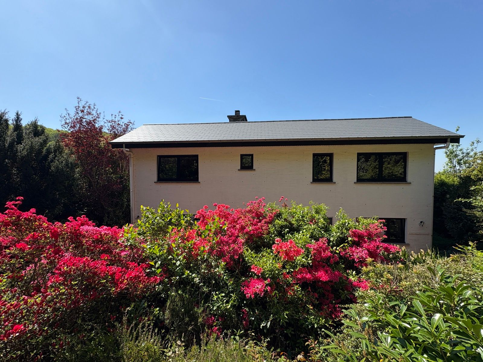 Ruime woning in het groen, op 1km van Kessel-Lo foto 17