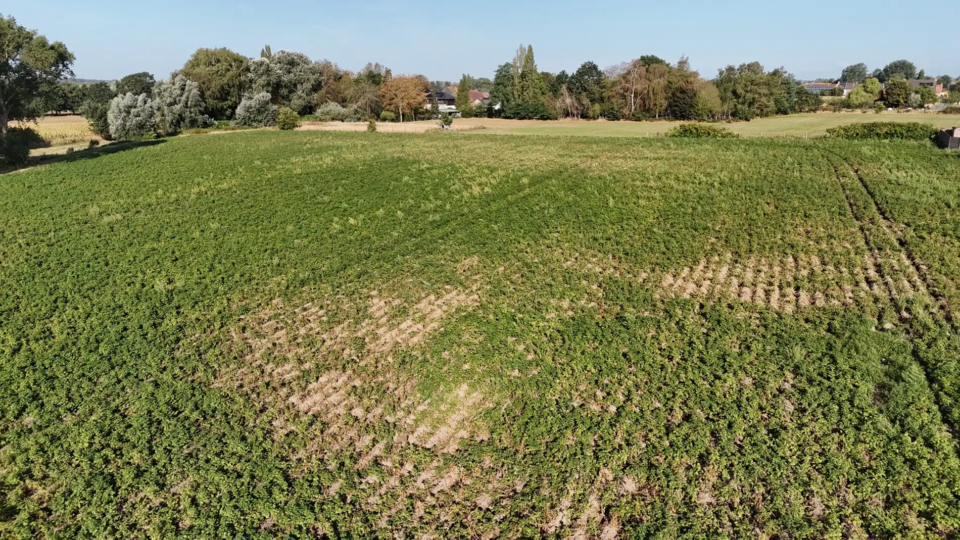 Landbouwgrond te koop van 2,88 ha te Koekelare Vrij van pacht na seizoen foto 2