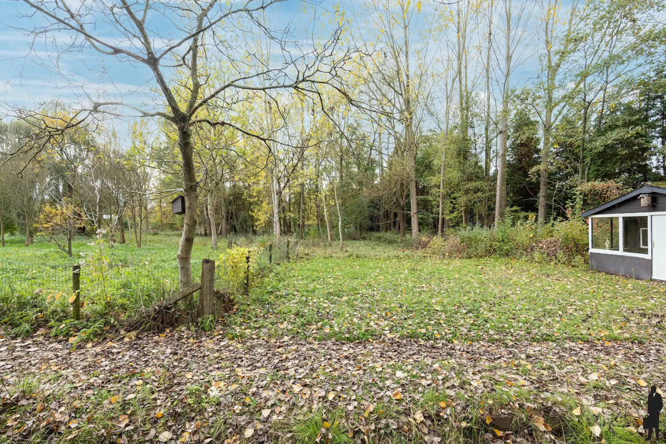 Woning op riant perceel van 8.906m² met vele mogelijkheden foto 24