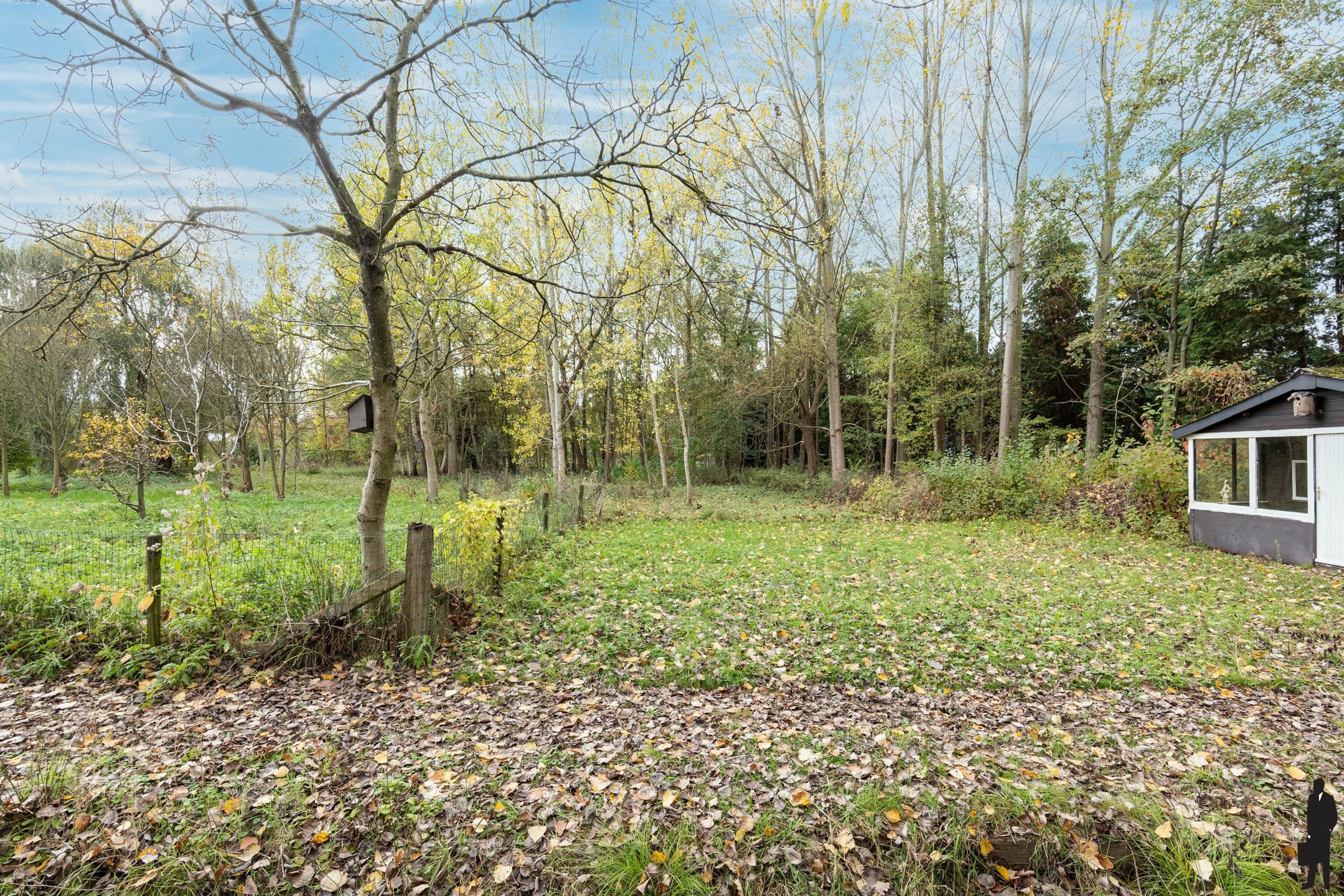 Woning op riant perceel van 8.906m² met vele mogelijkheden foto 25