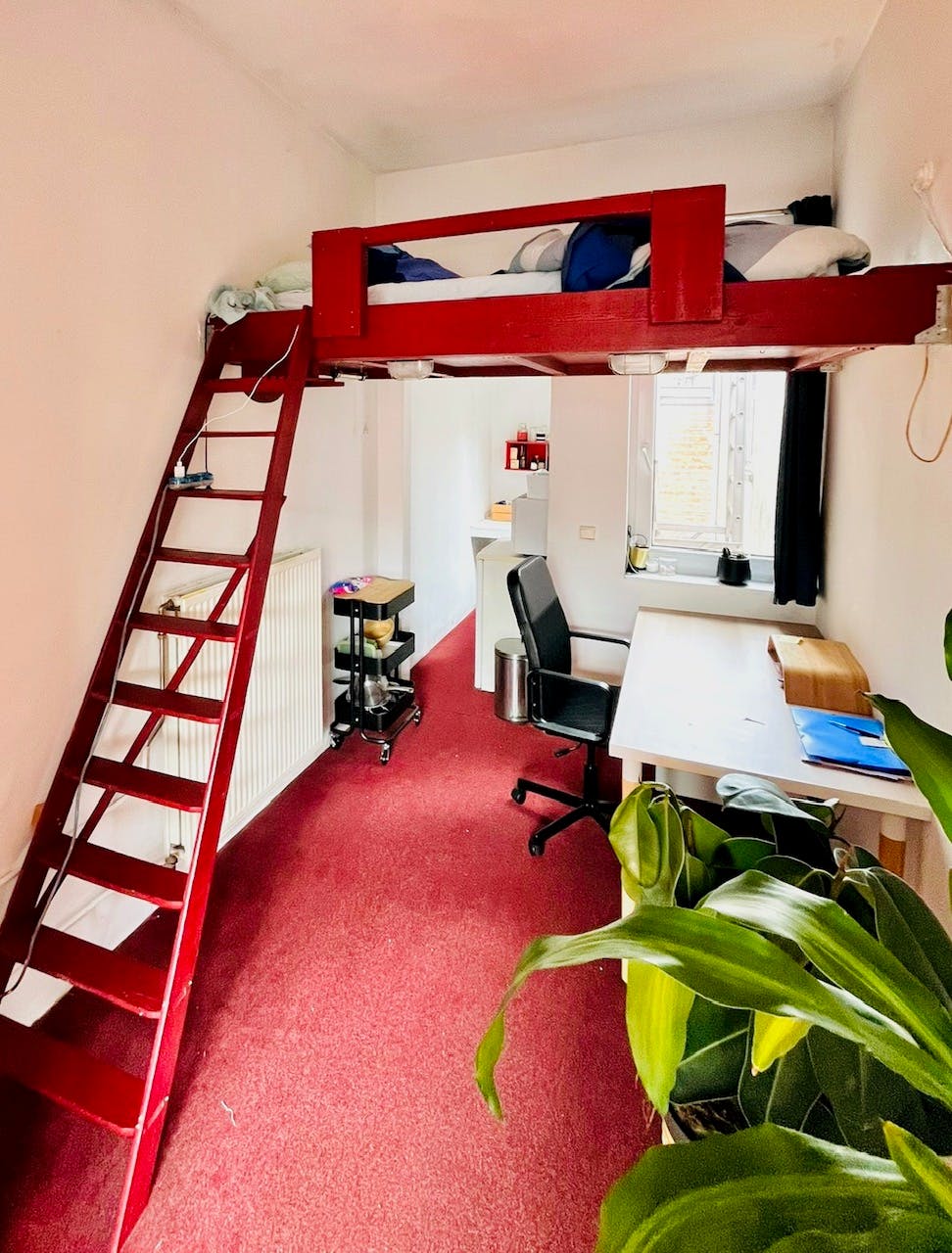 Studentengebouw met 9 kamers en 1 studio te koop in Antwerpen foto 9