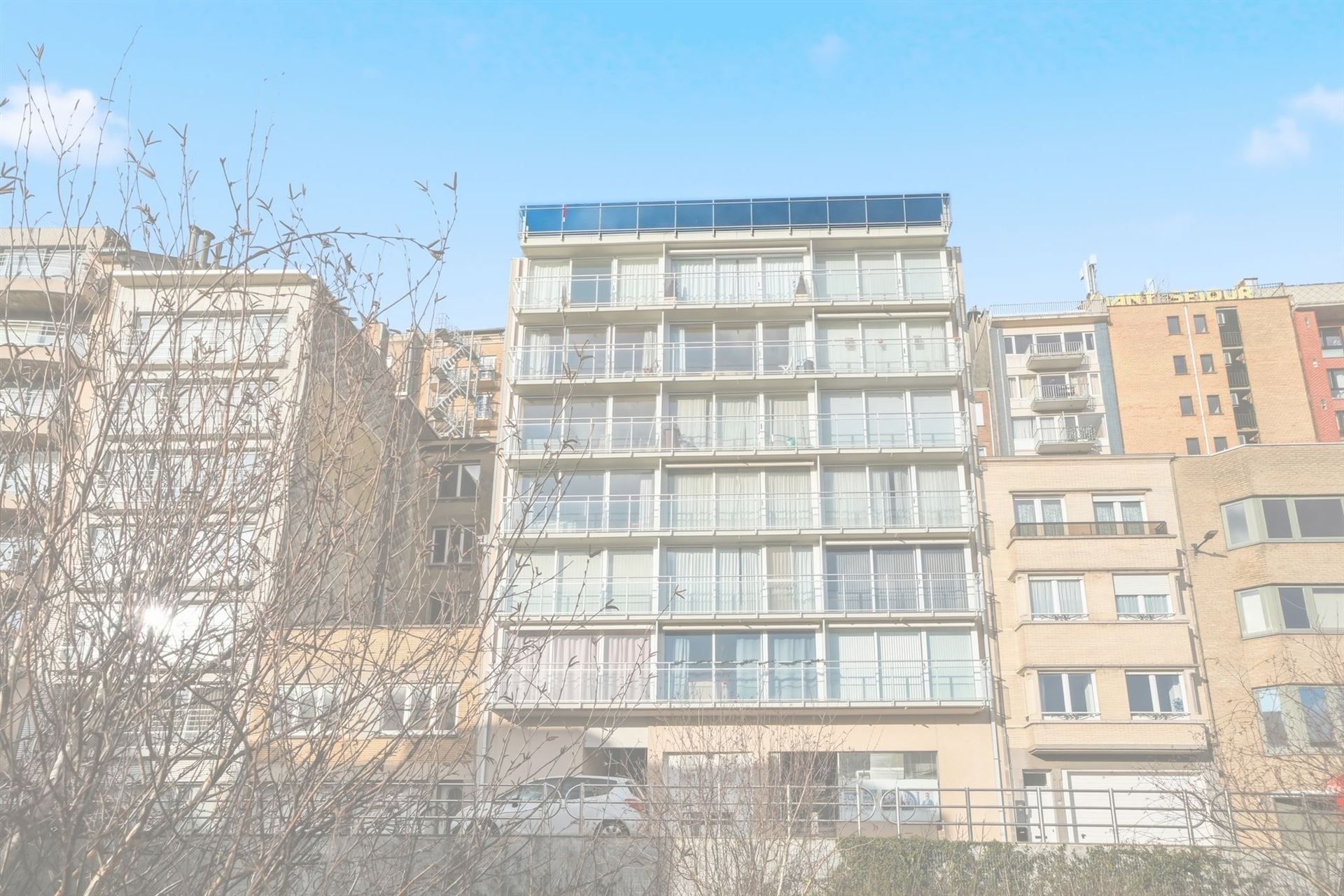 GROTE TERRASSEN / ZONNIG  foto 40