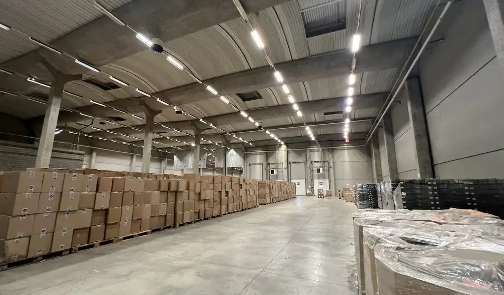 Logistieke loodsen met laadkades vlakbij R42 in Sint-Niklaas foto 5