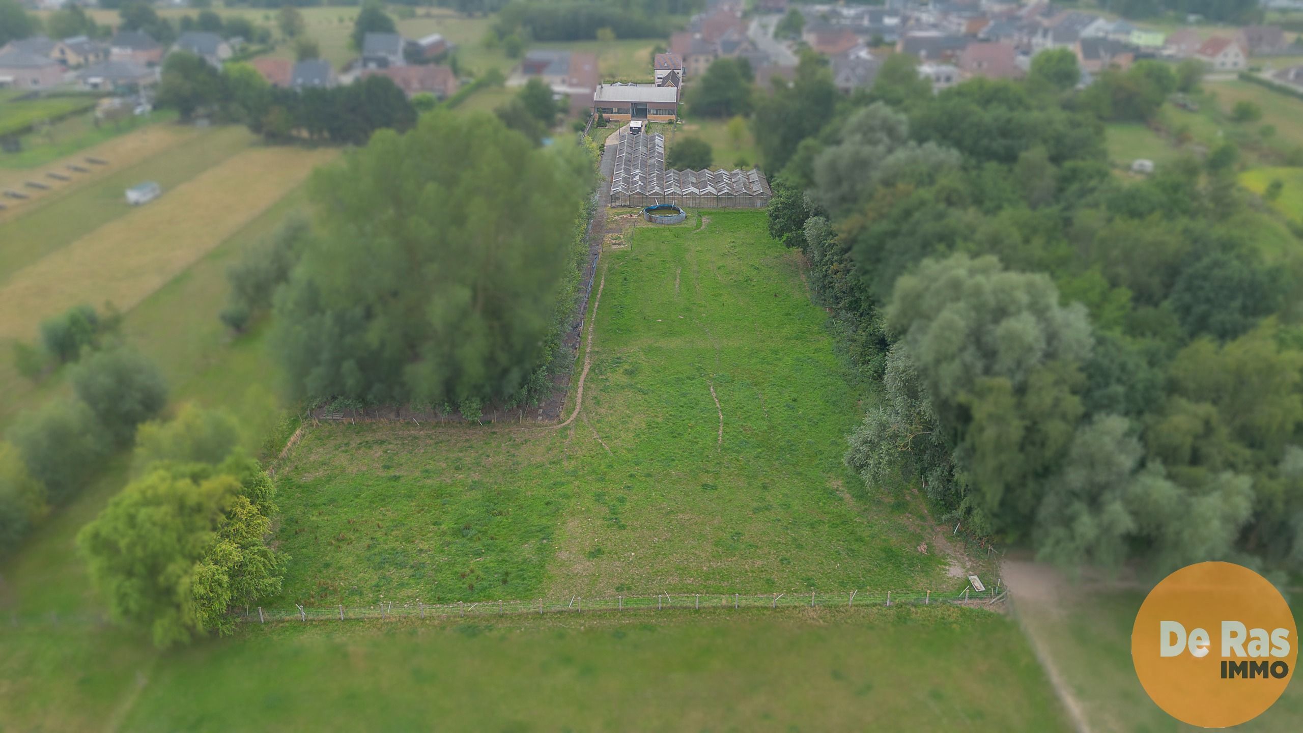 ERPE-MERE - Goed onderhouden woning met magazijn en serres foto 30