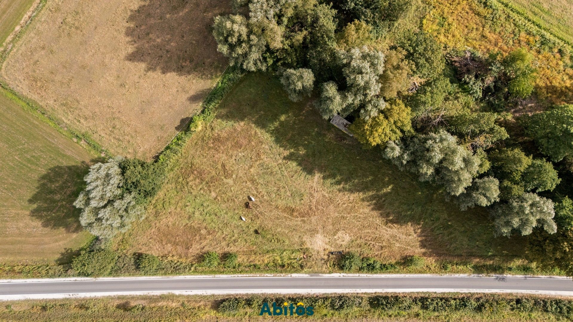 Unieke weide van 3.465 m² – ideaal voor paardenliefhebbers foto 6