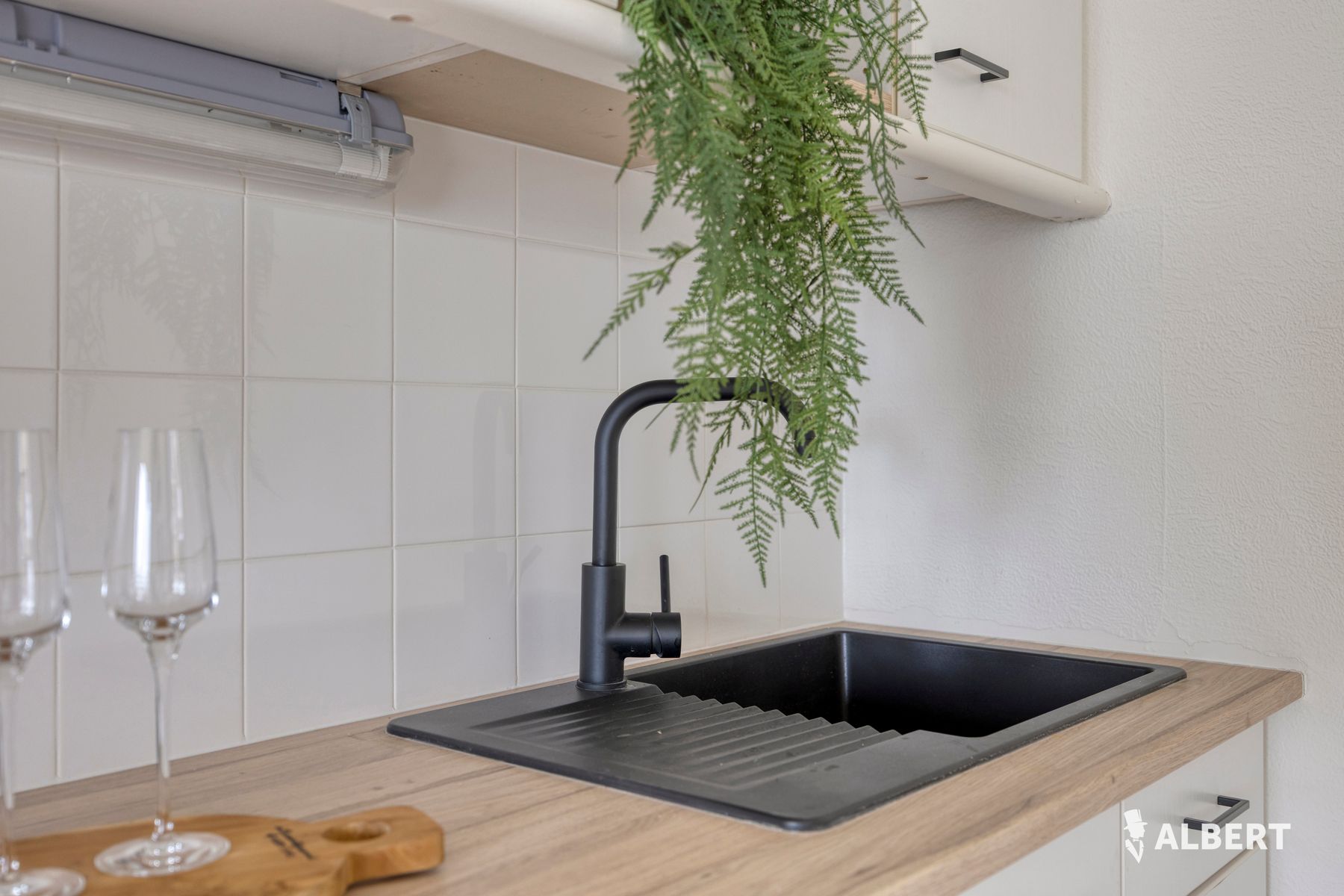 Gerenoveerde studio in dorpskern van Denderwindeke foto 4