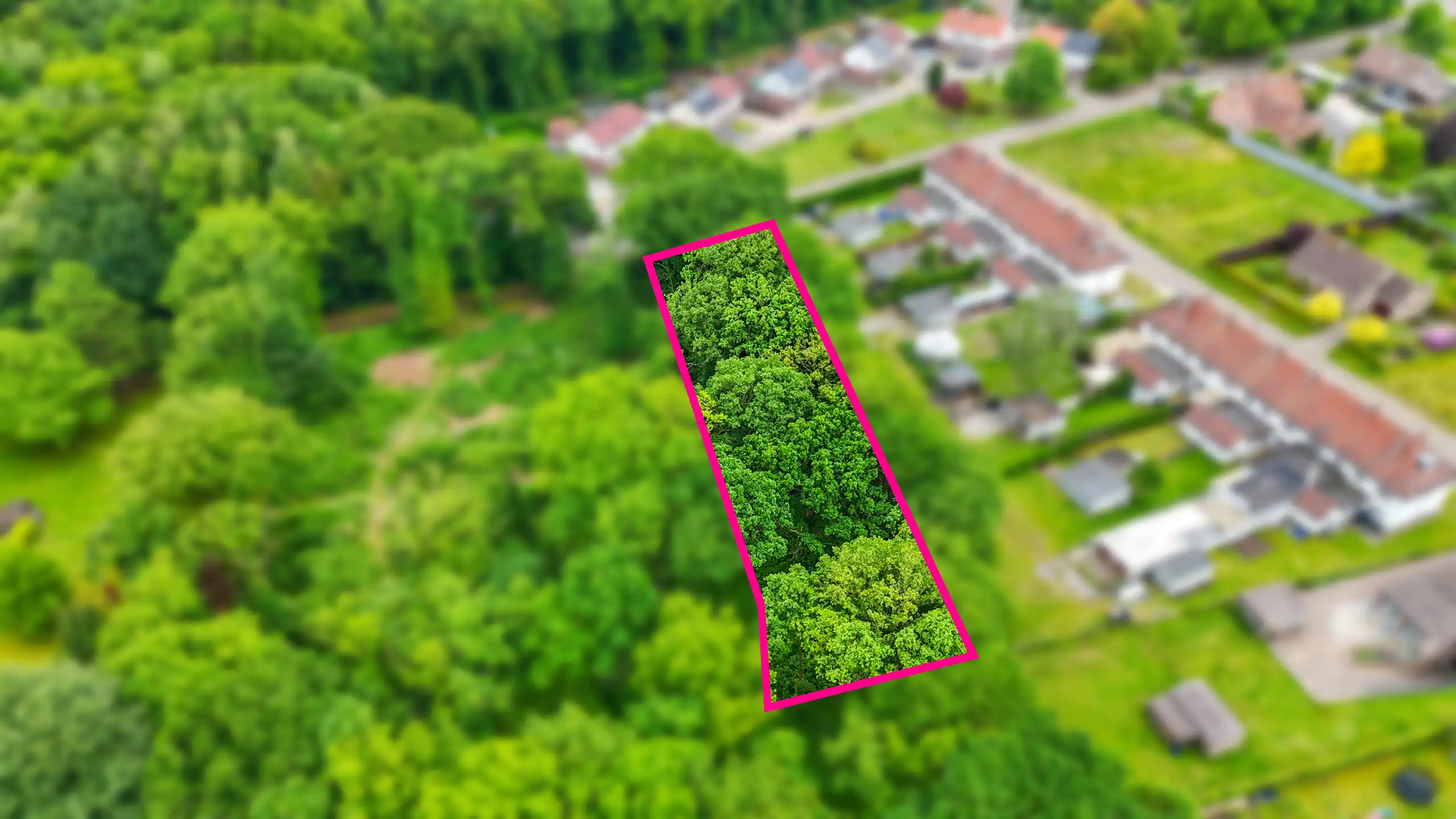 Mooi gelegen bosgrond op rustige locatie te Teggersgoed! foto 7
