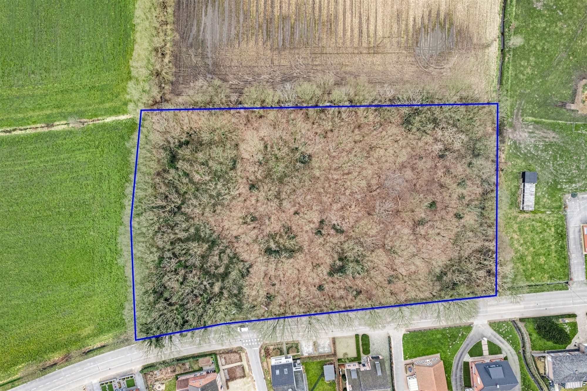Perceel met bomen te Sint-Katelijne-Waver foto {{pictureIndex}}