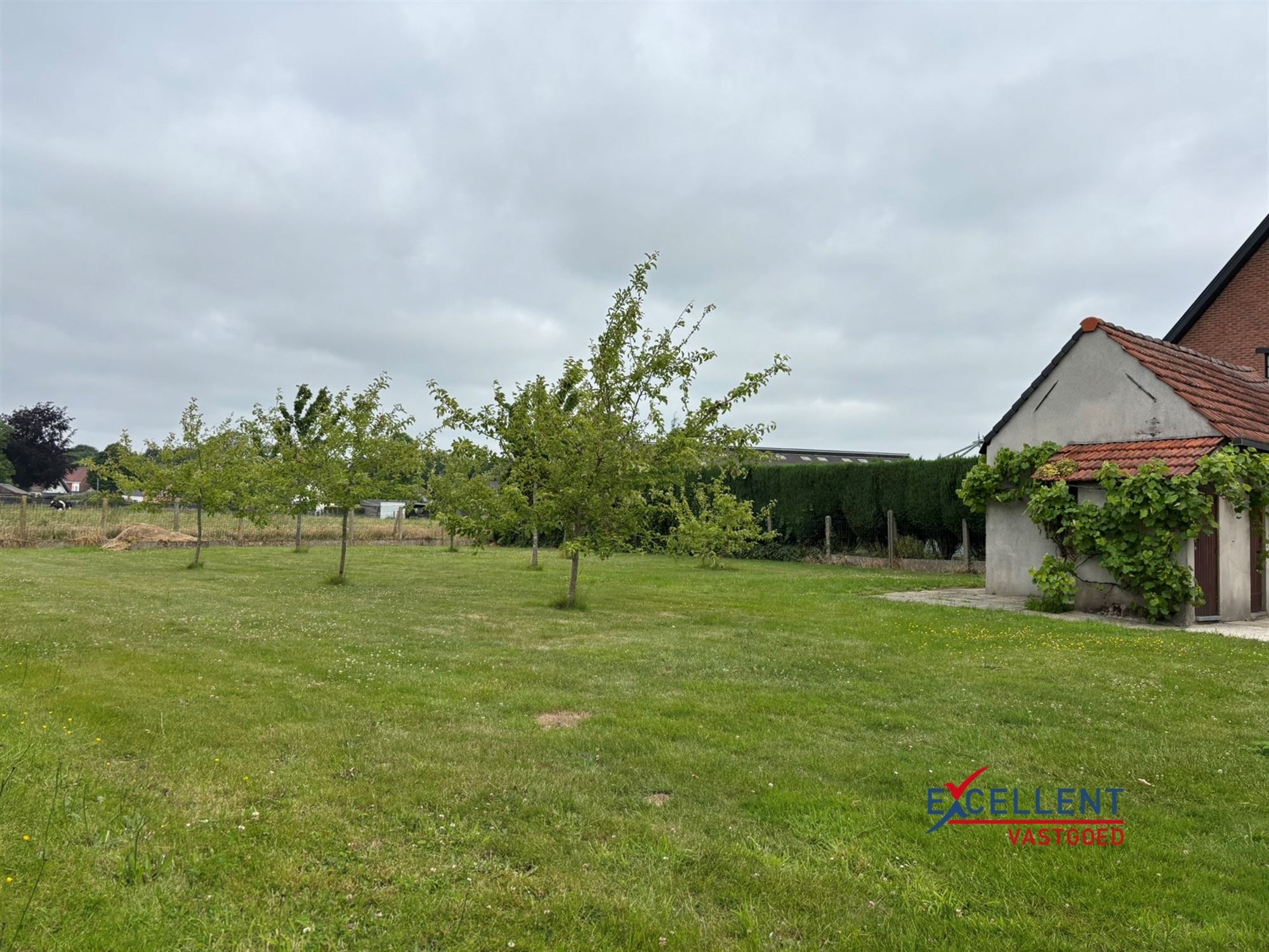 Gezinswoning met 4 slaapkamers & ruime tuin foto 2
