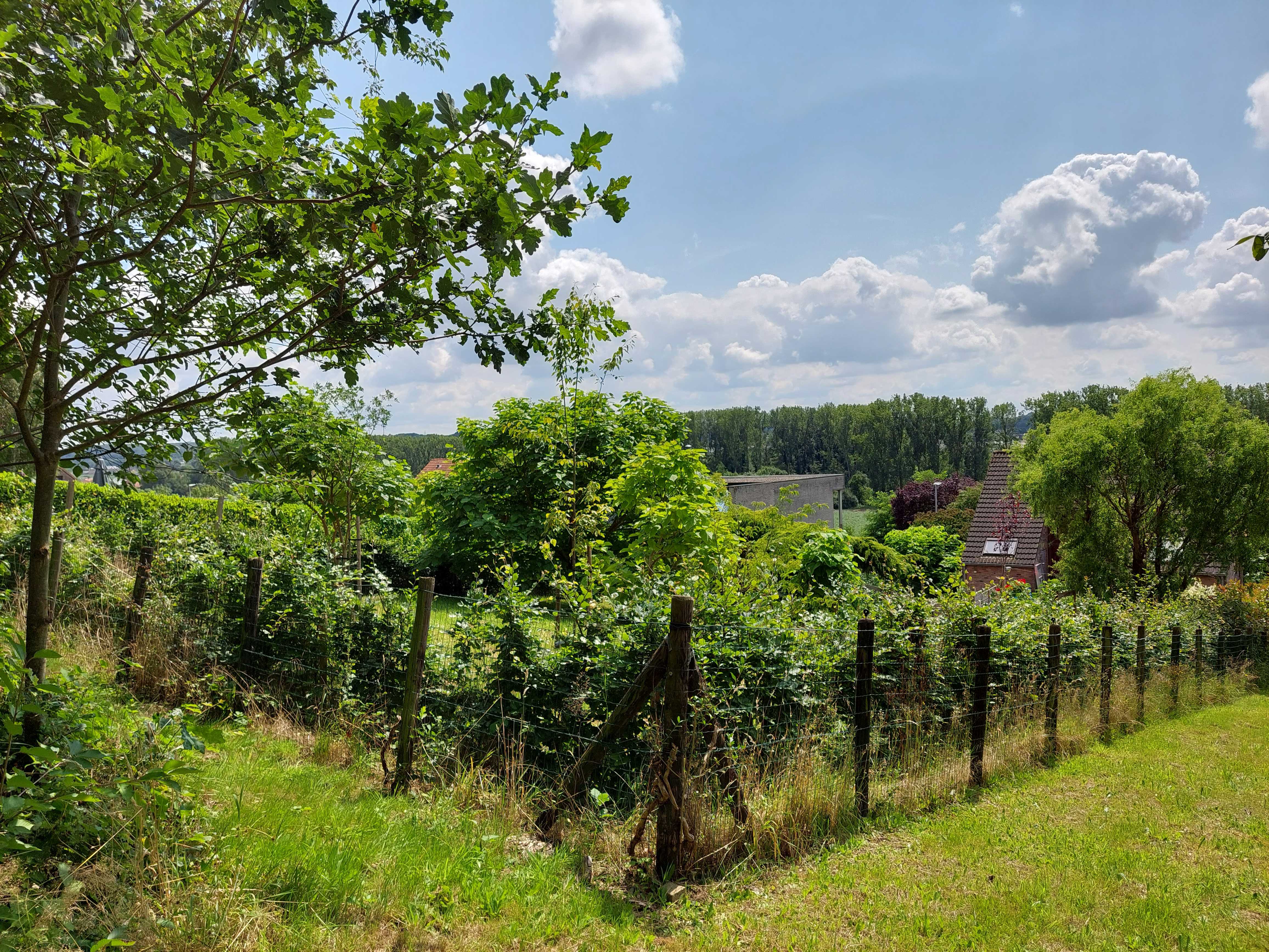 Prachtig gelegen bouwgrond op 17a 67ca foto 6