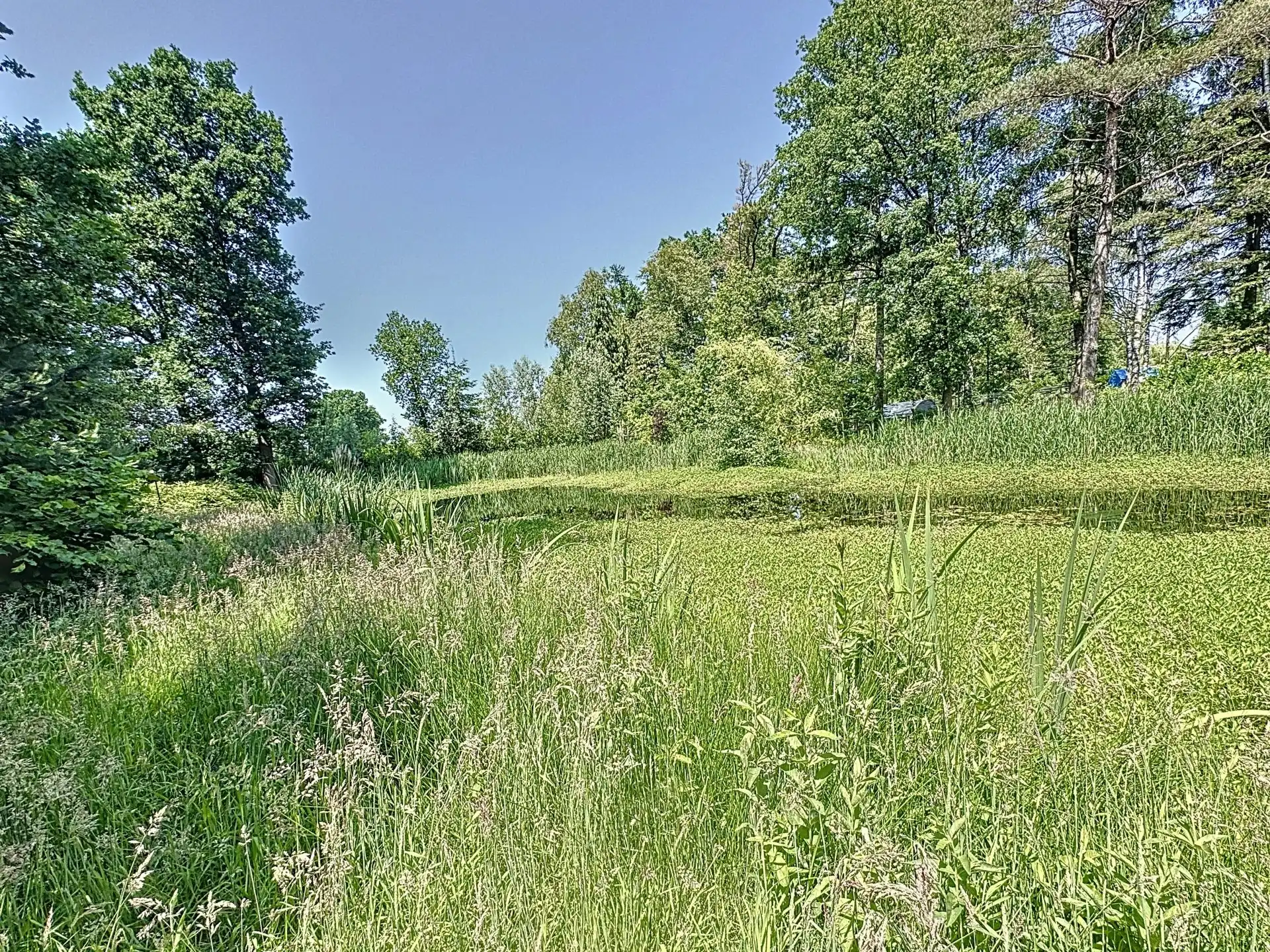 Uniek stuk recreatiegrond met vijver en bouwmogelijkheid – 2154 m². foto 10