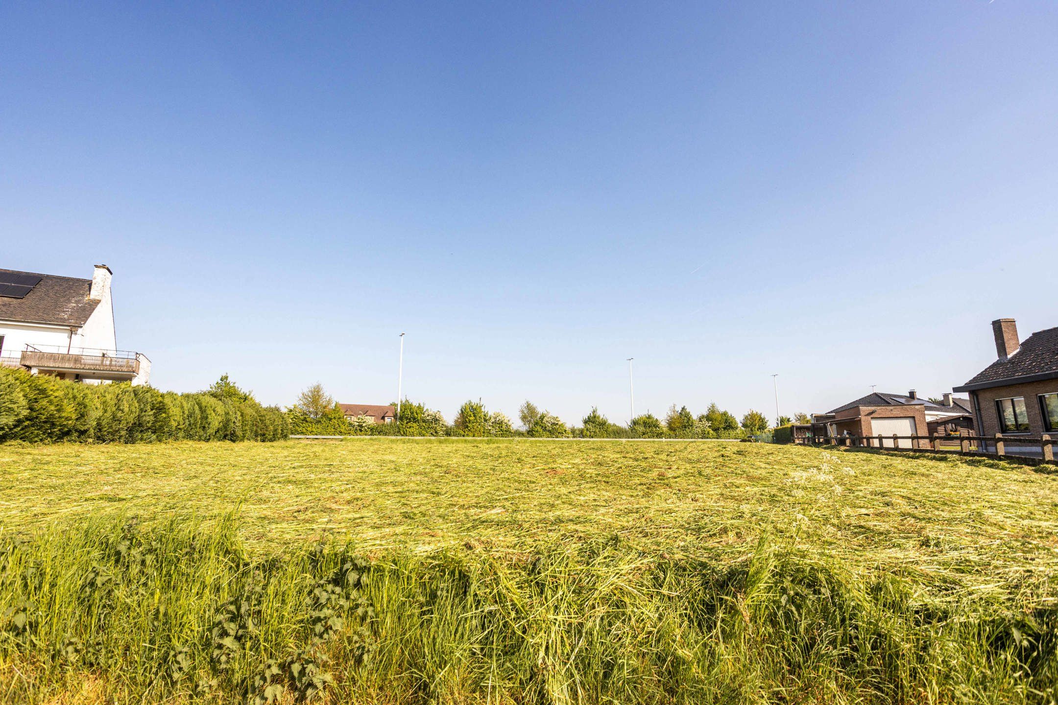 Interessant stukje landbouwgrond foto 5