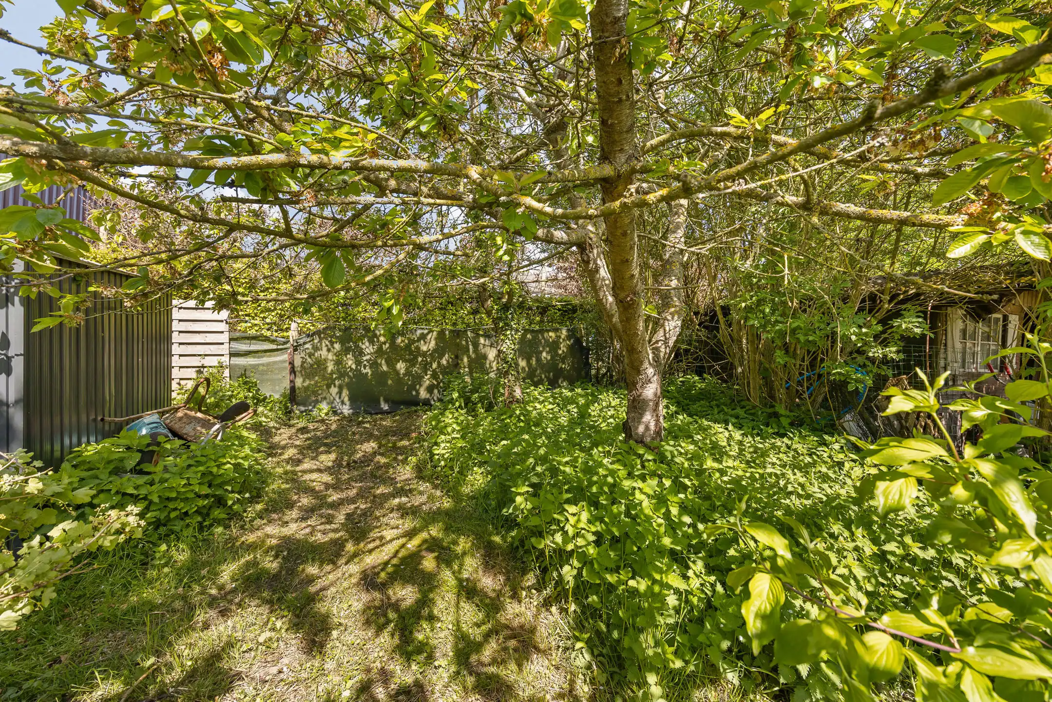 Charmant huis met thuisbatterij te Tongeren  foto 23