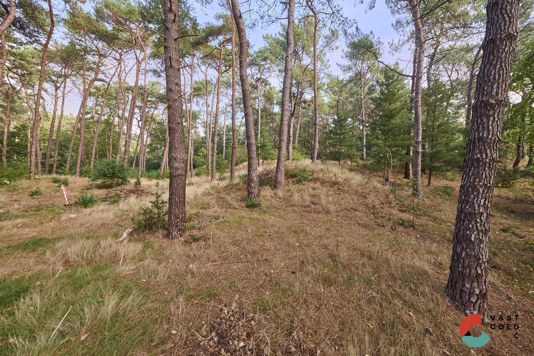 Huis te koop foto 4