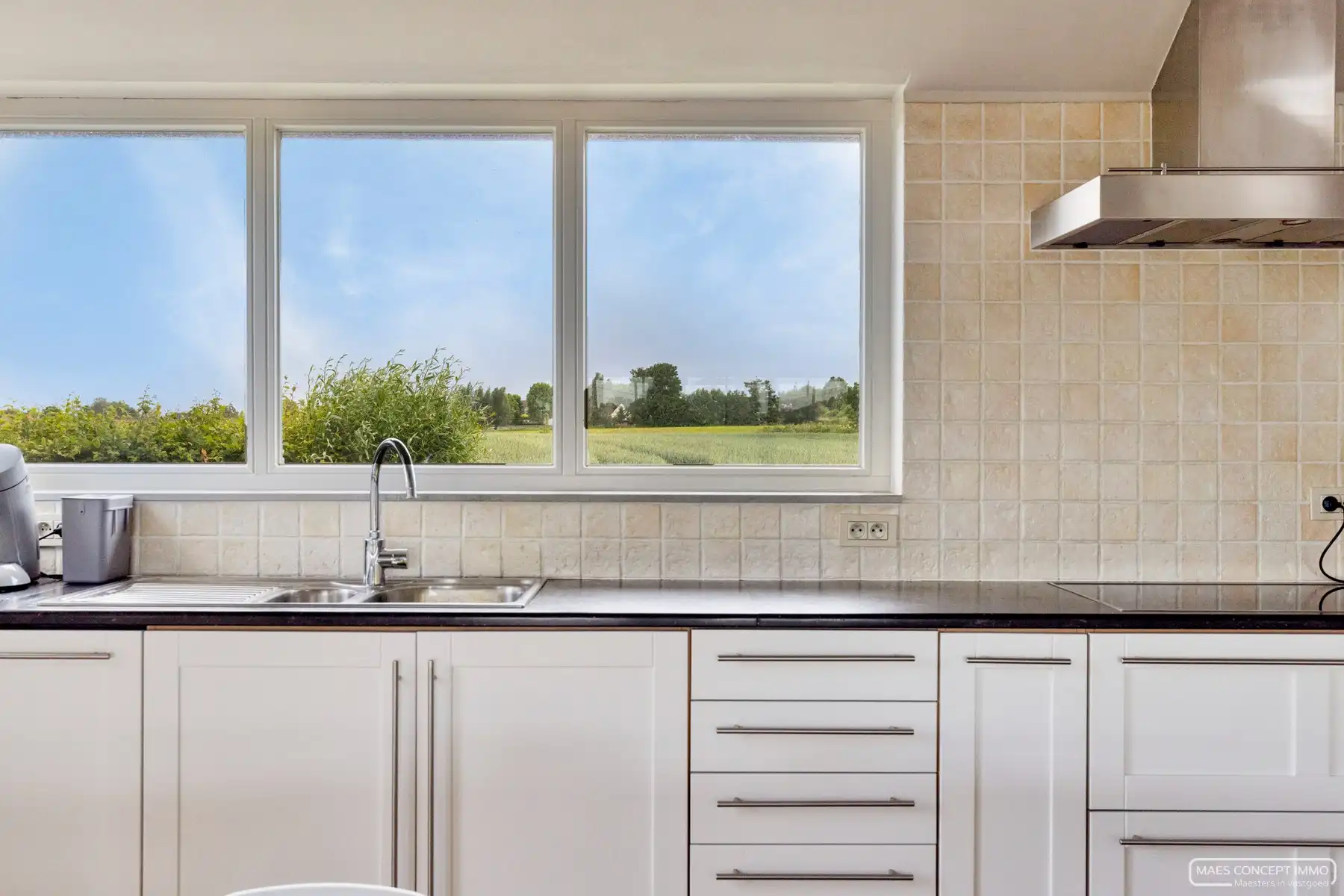 Uitzonderlijk gelegen villa met polyvalent bijgebouw op 3500 m², omringd door groen en landerijen foto 10