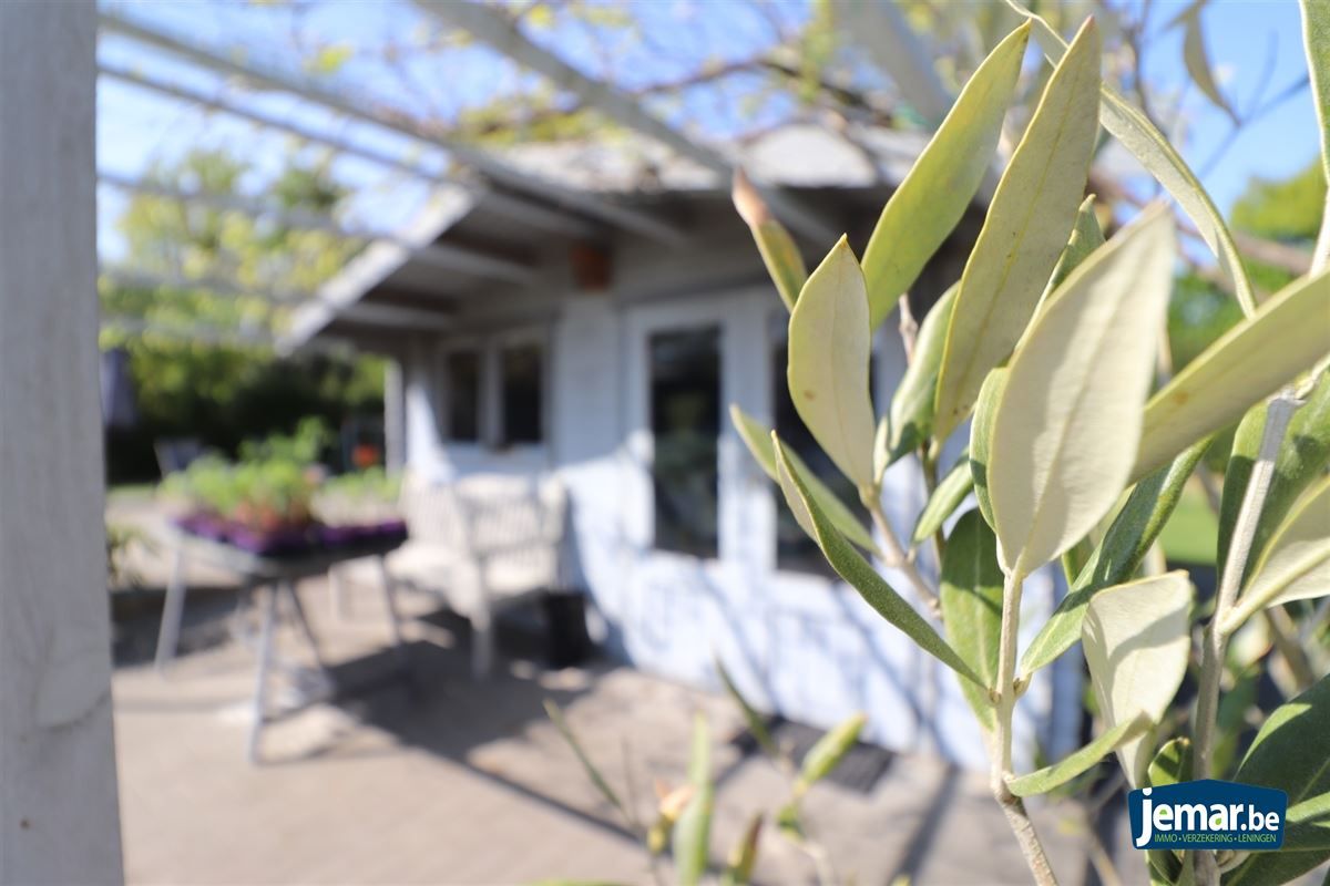 Villa met 3 slaapkamers in Dilsen-Stokkem!  foto 28