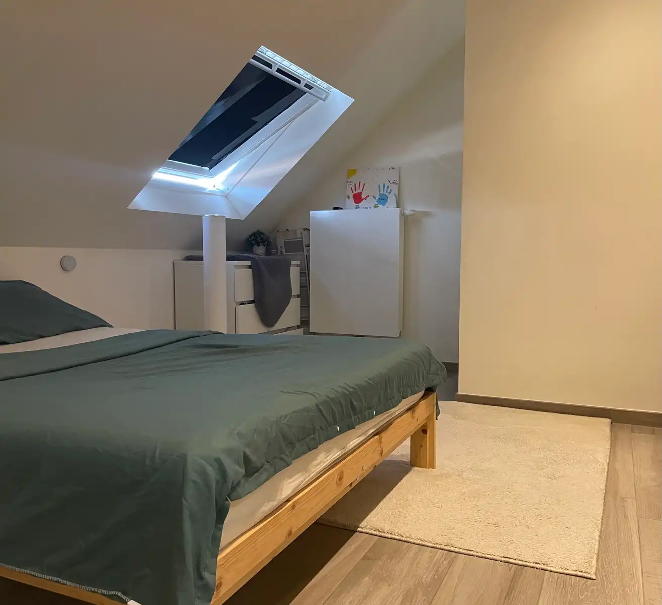 Recent en energiezuinig appartement in hartje Aalst!  foto 10